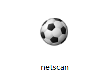 netscan网络搜索助手